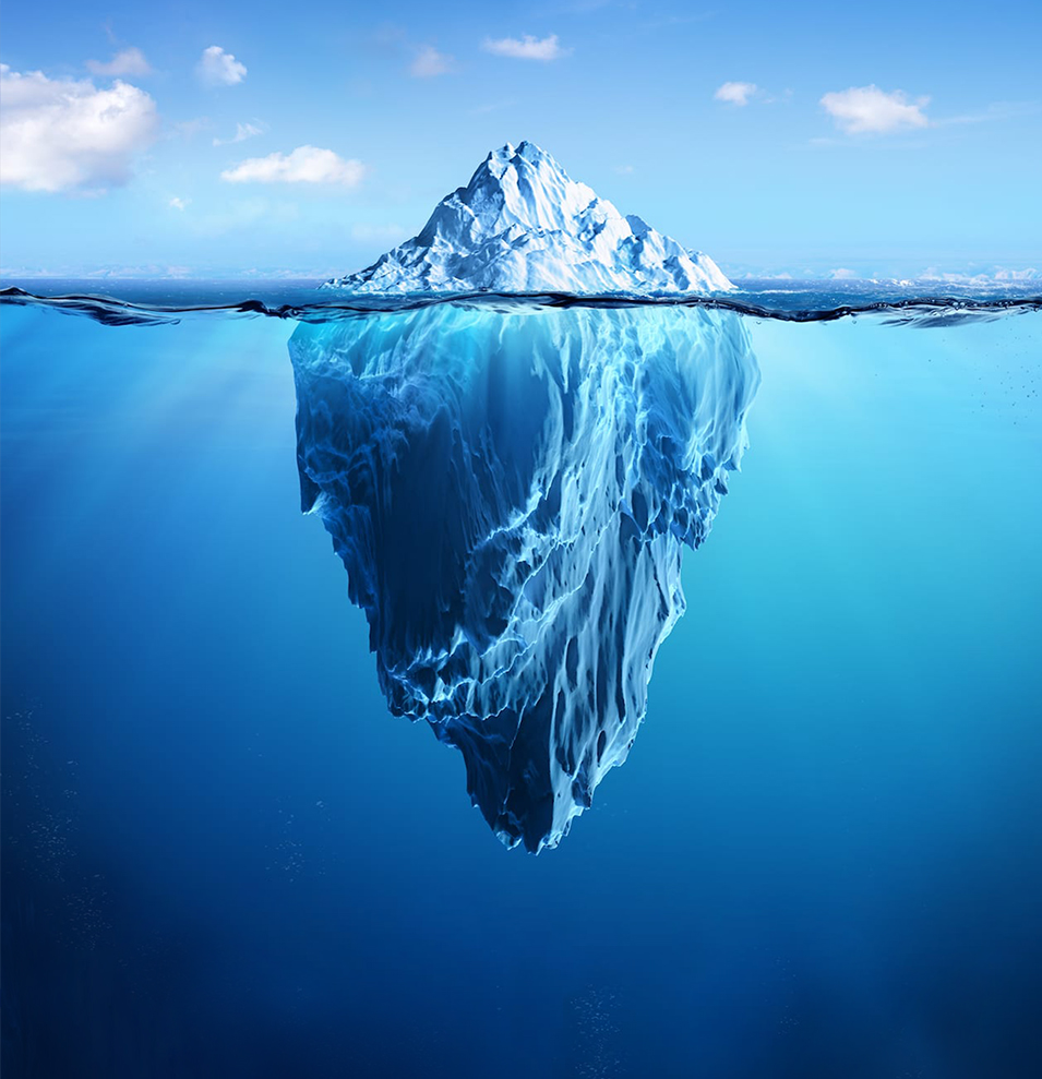 Arctica Food: A Noble Brand